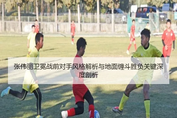 张伟丽卫冕战前对手风格解析与地面缠斗胜负关键深度剖析